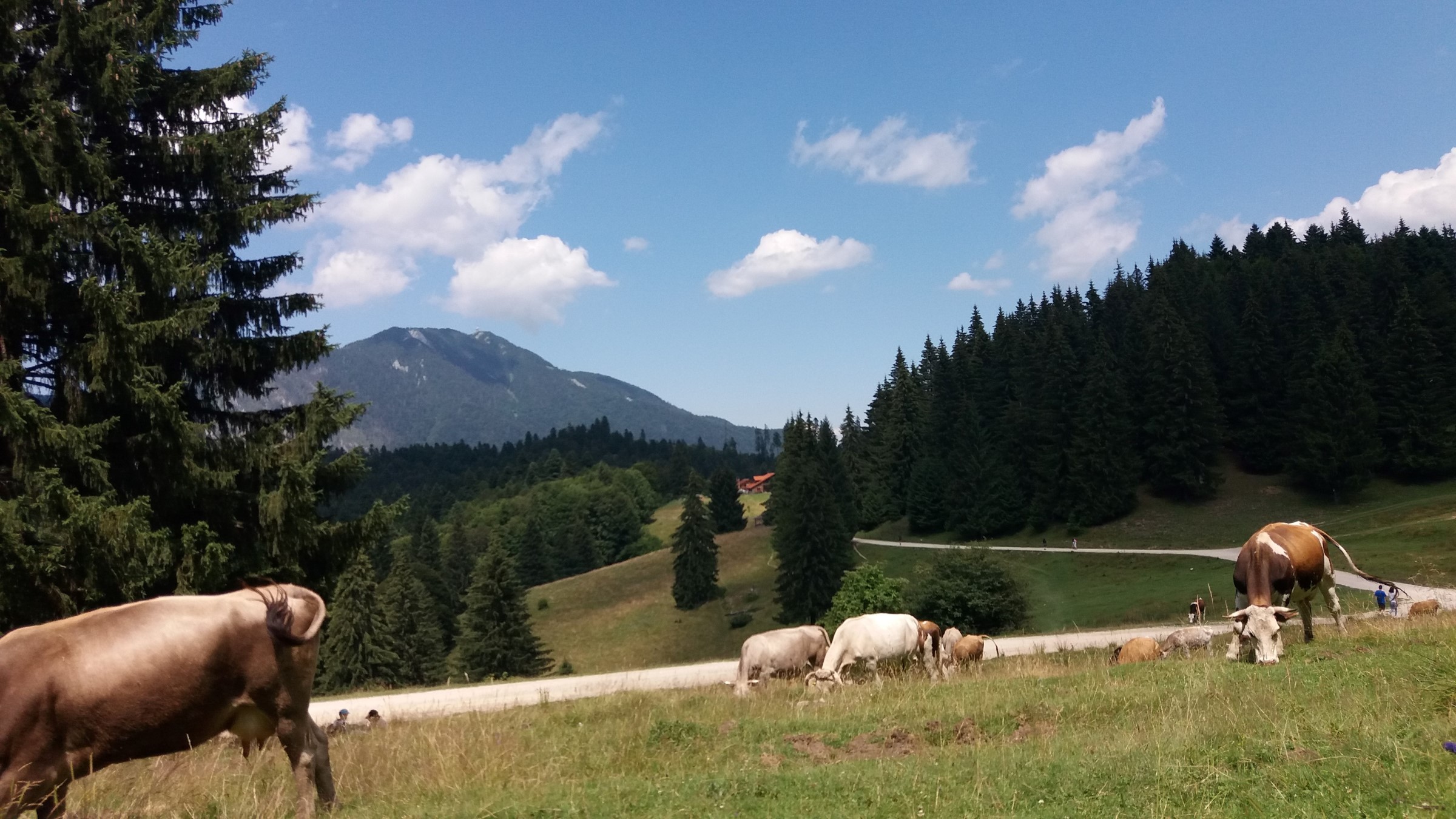 Predeal,Brasov,Transylvania